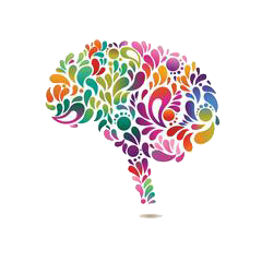 Brain & Memory Functions - Herbal Brain Supplements