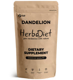 Dandelion Root Extract Powder