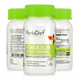 Forskolin 20% Extract Capsules