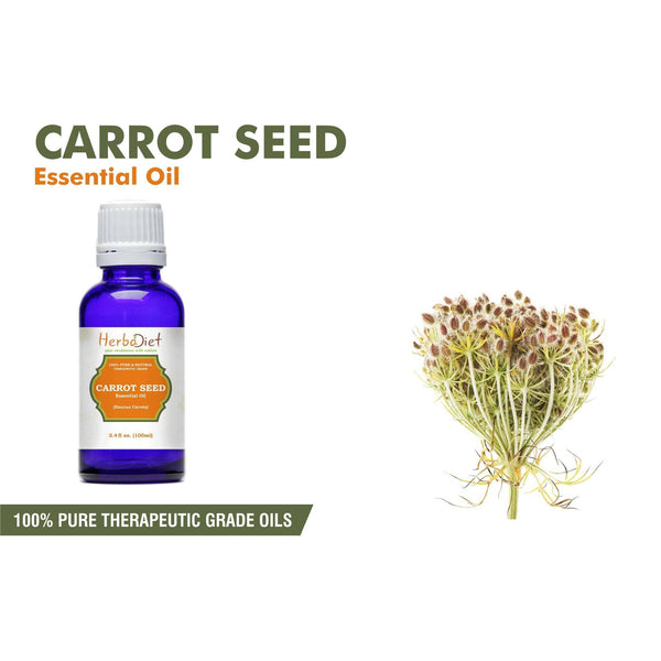 Essential Oil Singles - 100% Pure Natural Carrot Seed Essential Oil PREMIUM Therapeutic Grade Oils