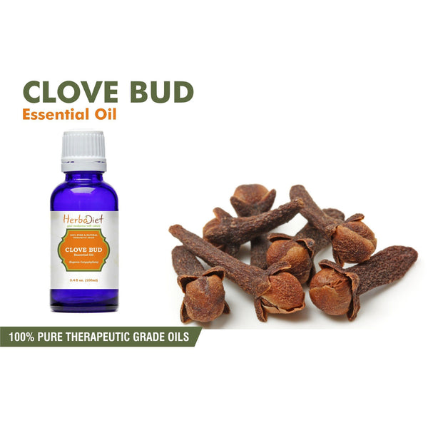 Essential Oil Singles - 100% Pure Natural Clove Bud Essential Oil PREMIUM Therapeutic Grade Oils