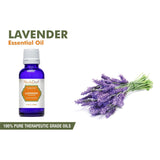 Essential Oil Singles - 100% Pure Natural Lavender Essential Oil PREMIUM Therapeutic Grade Oils
