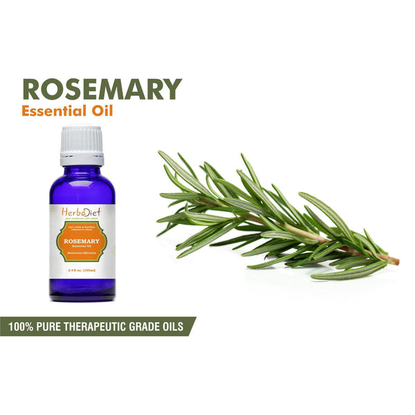 Essential Oil Singles - 100% Pure Natural Rosemary Essential Oil PREMIUM Therapeutic Grade Oils