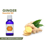 Essential Oil Singles - Ginger Essential Oil 100% Pure Natural PREMIUM Therapeutic Grade Oils