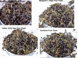 Darjeeling First Flush | Tester Pack | 3 Premium Leaf Tea