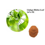 Standardized Extracts - Herbadiet Ginkgo Biloba 24% Flavinoids Powder Extract Supplement