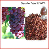 Standardized Extracts - Herbadiet Grape Seed 95% Powder Extract Antioxidant Supplement
