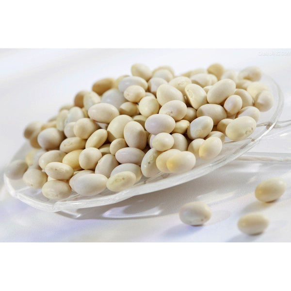 White Kidney Bean Extract (8000mg eq.) Carb Blocker Powder Weight Loss